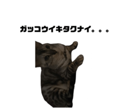 655911637