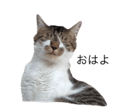 655913816