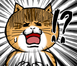 655917114
