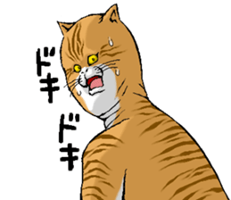 655917209