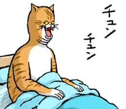 655917213