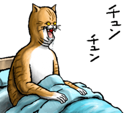 655917548