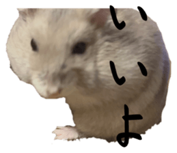 655919028