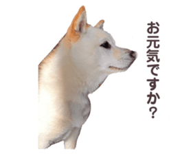 655920681