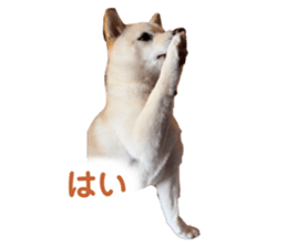 655920683