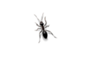 655922215