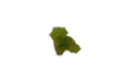 655922226