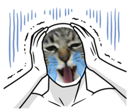 655926724