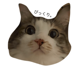 655929208