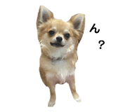655932579
