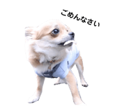655932581