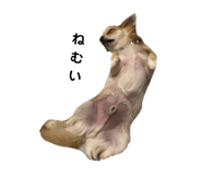 655932582