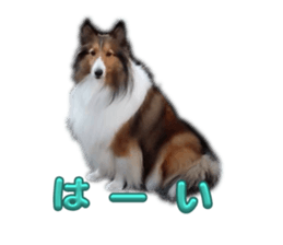 655933408