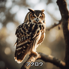 655938301