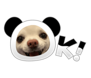 655938821