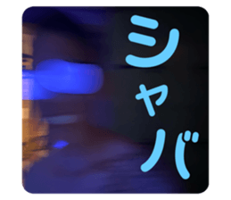 655943081