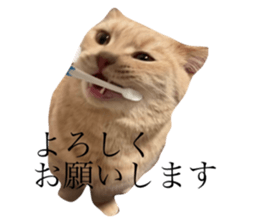 655944449