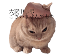 655944450