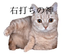 655944458
