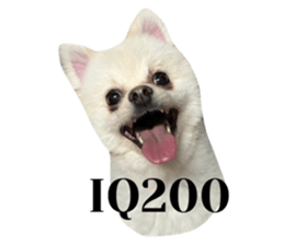 655944461