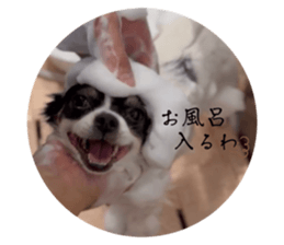 655945242