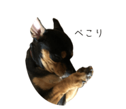 655946313