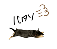 655946329
