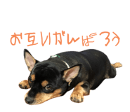 655946345