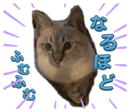 655947401