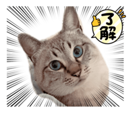 655947405