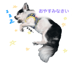 655950234