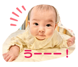 655953044