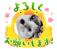 655954212