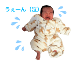 655954746