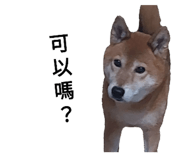655969079