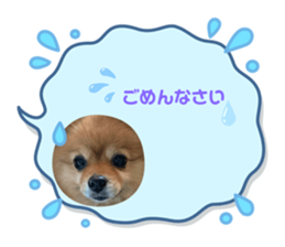 655973402