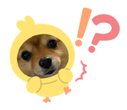 655973404
