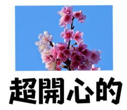 655973623
