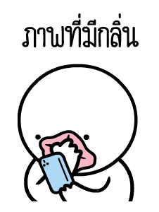 หัวกลมดุ๊กดิ๊ก V.22 รูปที่ 23