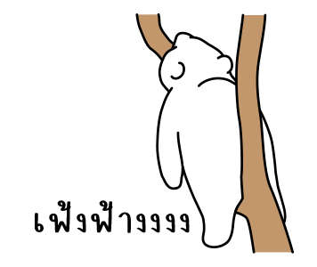 น้องหมีแสนขี้เกียจ "จุนโตะ" รูปที่ 21