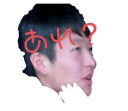 655981384