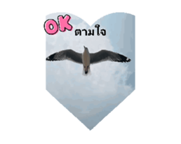 655982015