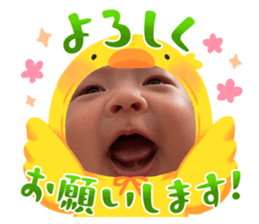 655991442