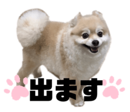 655995369