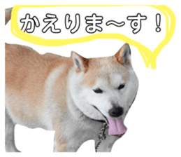 65599920
