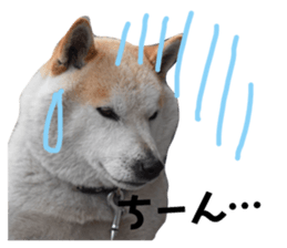 65599922