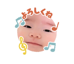 656030241