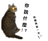 65606432