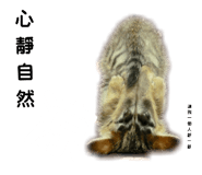 65606451