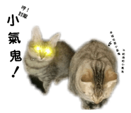 65606465